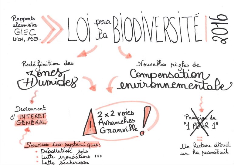 Impact des nouvelles règles environnementales dans le projet d'axe routier Granville-Avranches